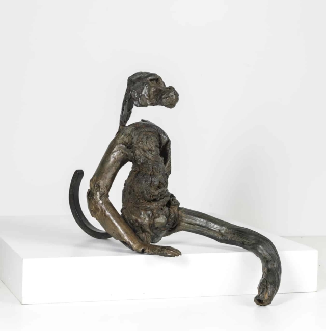 Singe bois noueux sculpture en bronze 25 x 53 x 56 cm édition 8 + 4 EA DP063  ©Denis Polge