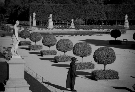 DocteurPesteJardindesTuileriesParismars2020FineArtprintsurpapierHahnemhle25x25cmSG-DP02STEPHANGLADIEU