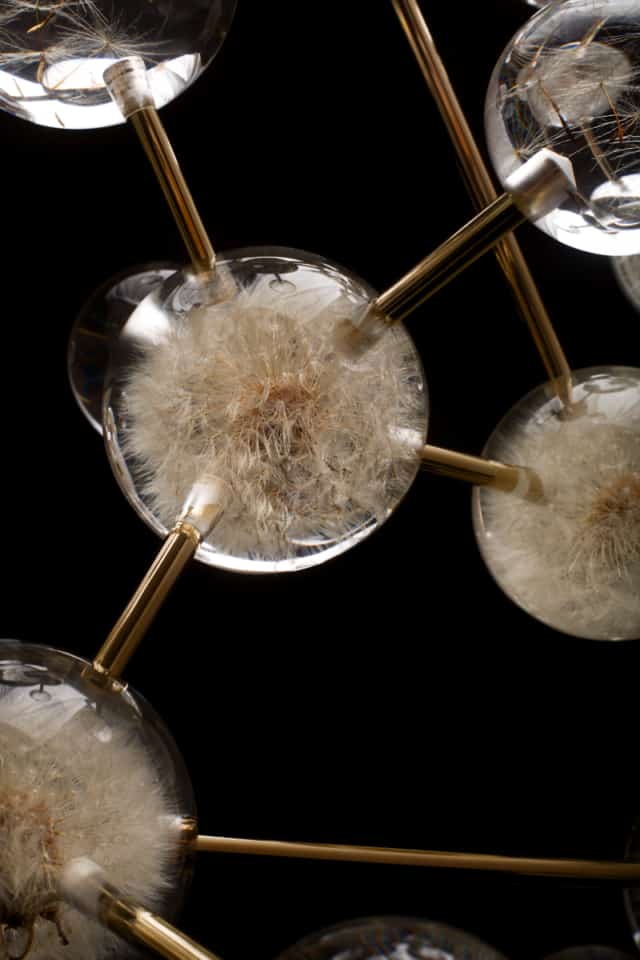 Bougeoir Dandelion Light (détails) Pissenlits, aigrettes de pissenlit, feuille d’or, pmma et laiton plaqué or 24 carats Edition 2/3 + 2 E A ©Duy Anh Nhan Duc ©Photographie Enzo Orlando