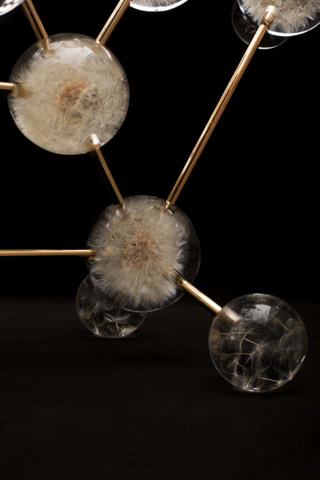 Bougeoir Dandelion Light (détails) Pissenlits, aigrettes de pissenlit, feuille d’or, pmma et laiton plaqué or 24 carats Edition 2/3 + 2 E A ©Duy Anh Nhan Duc ©Photographie Enzo Orlando