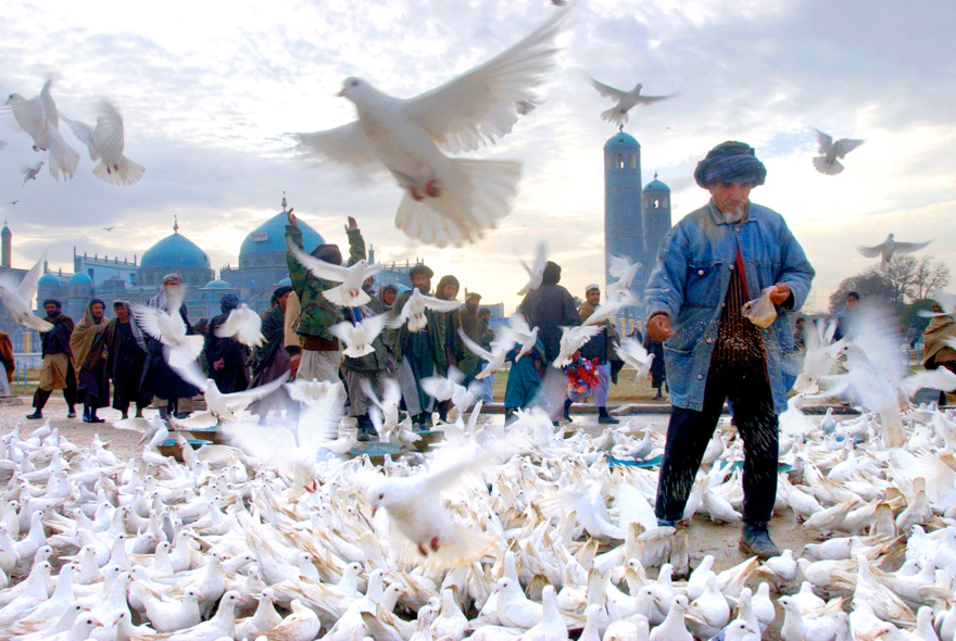 UnhommenourrilescolombesdusanctuairedeAzratAlidanslavilledeMazar-iSharifolespritdAliestvnrAfghanistannovembre2001JamesHill