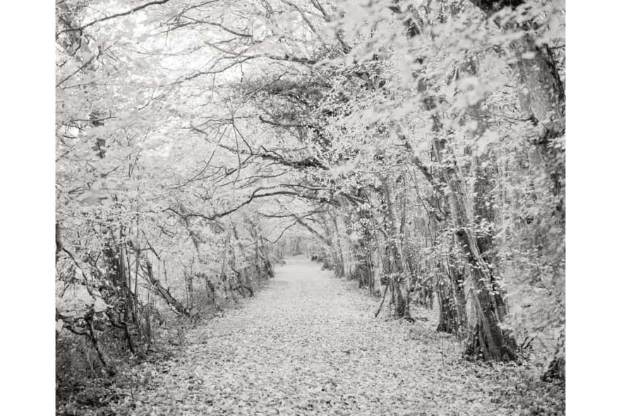 TheCastlePhotographieJH-PH61JamesHill