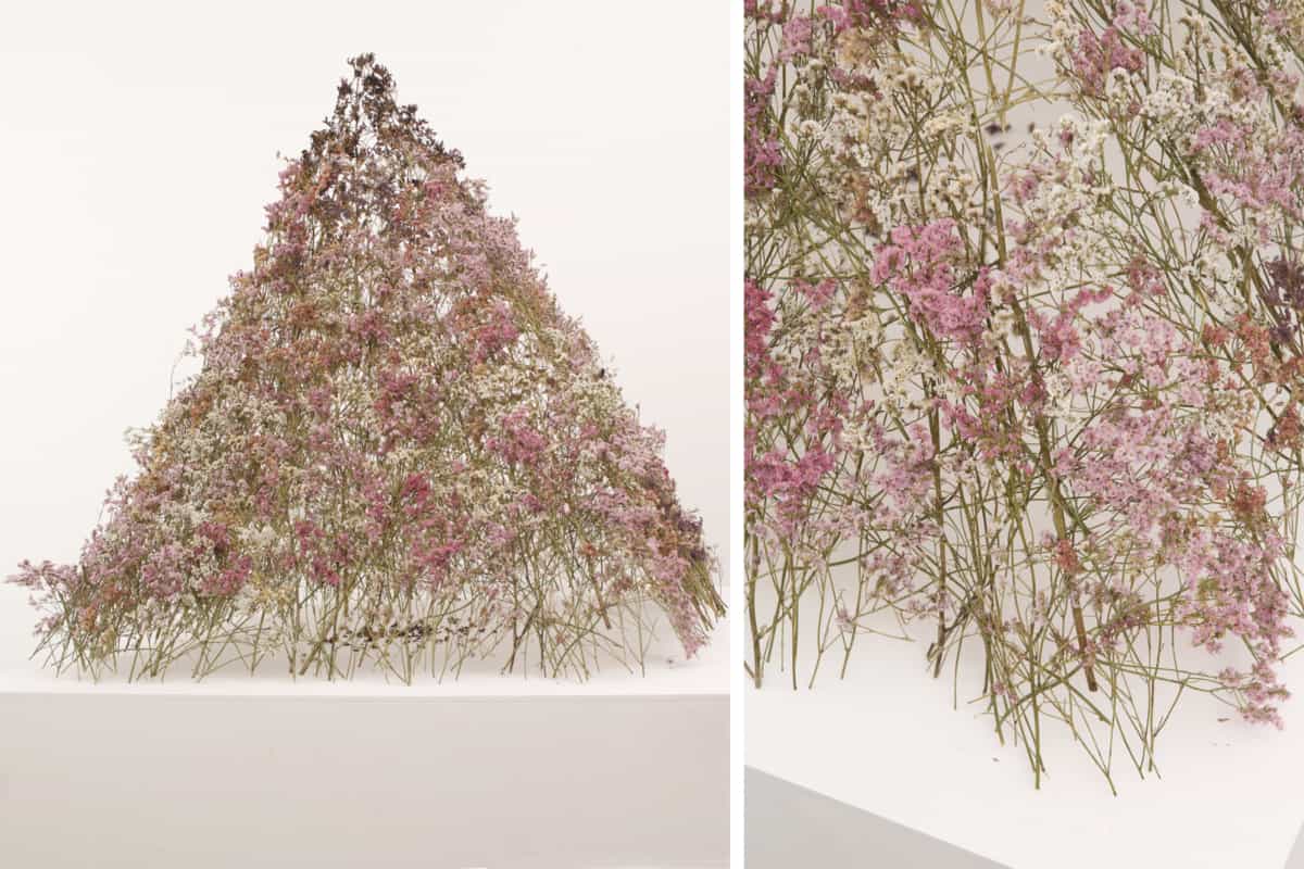 Pyramide, 2018 Dentelle de fleurs de statices séchées et brulées 115 x 95 cm, DA18-25 ©Duy Anh Nhan Duc