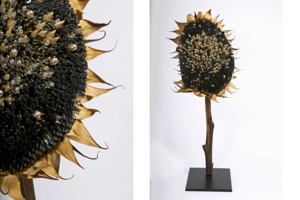 Soleil Noir, 2018 Fleur et graines de tournesol séchées, perles de verre, nacre H 45 cm, DA18-23 ©Duy Anh Nhan Duc