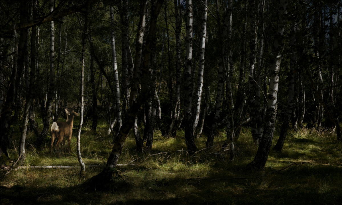 Hommage à Courbet, 2013 série Hommage ©Nicolas Dhervillers