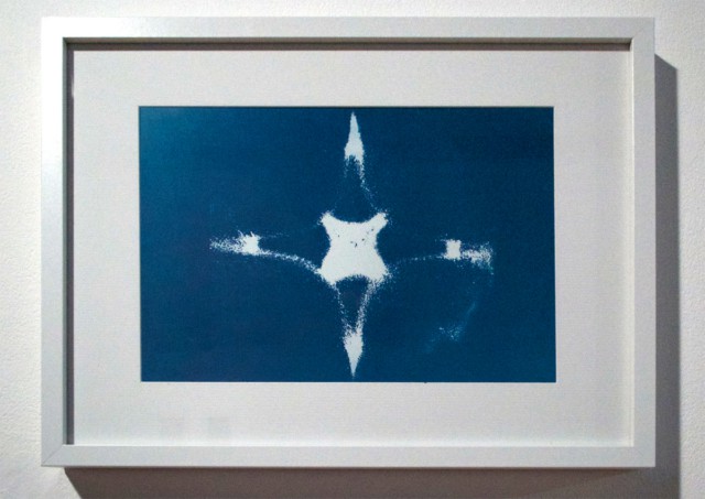 Blue waves 2 Cyanotype, 42 x 32 cm ©Cécile Le Talec