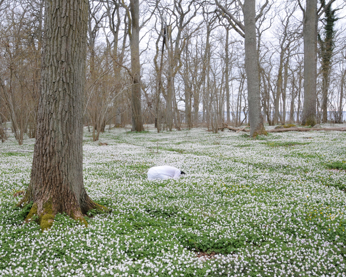 In pursuit, 2010 Photographie ©Susanna Hesselberg