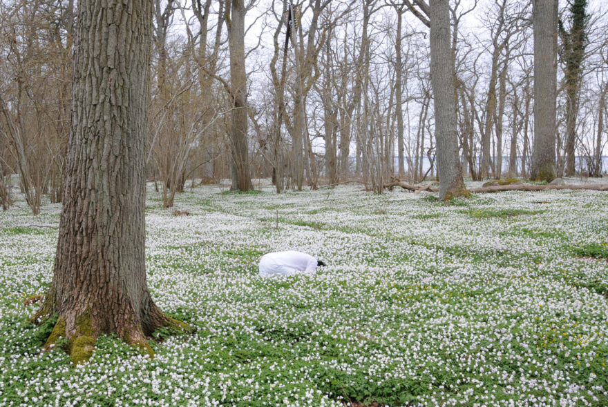 Inpursuit2010PhotographieSusannaHesselberg