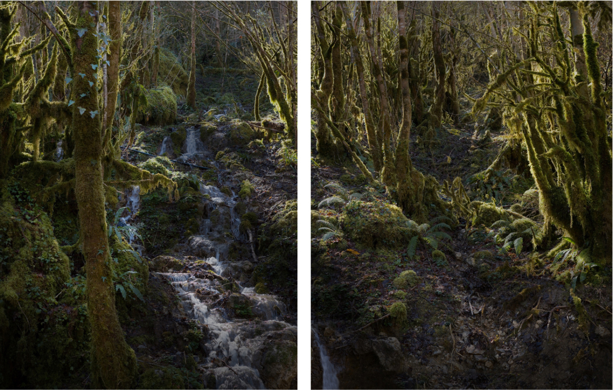 River 2 - Diptyque 110 x 150 cm ©Nicolas Dhervillers