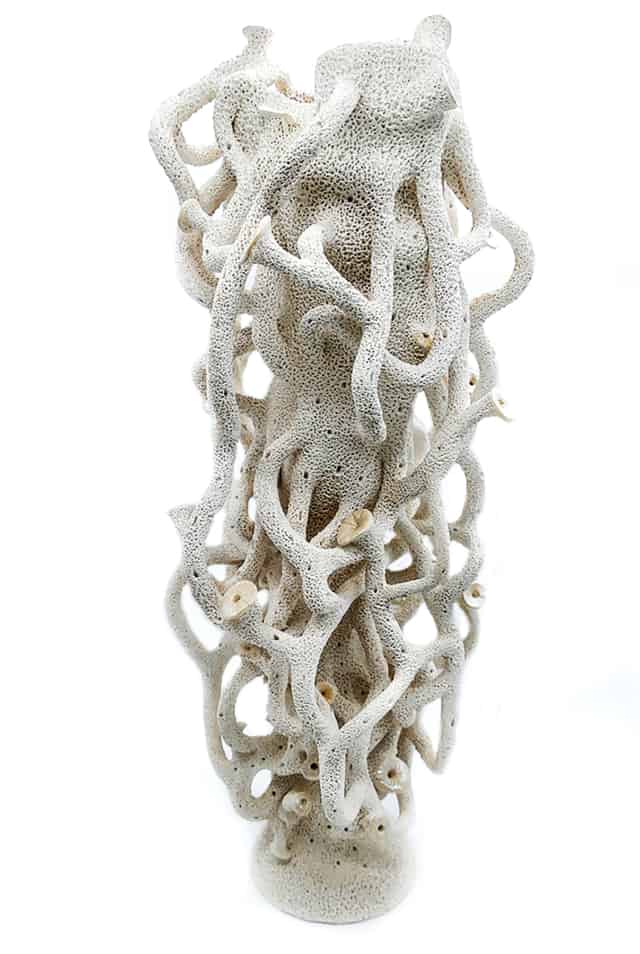 Forme corallienne, 2017 Faïence, 63 x 30 cm ©Muriel Persil