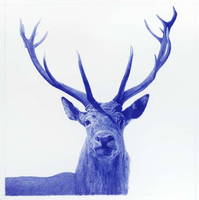 Cerf, 2021, dessin au stylo à bille sur papier, 100 x 100 cm KO-2224  ©Konrad