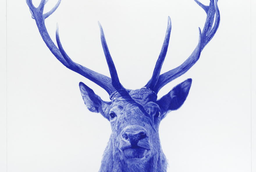 Cerf2021dessinaustylobillesurpapier100x100cmKO-2224Konrad