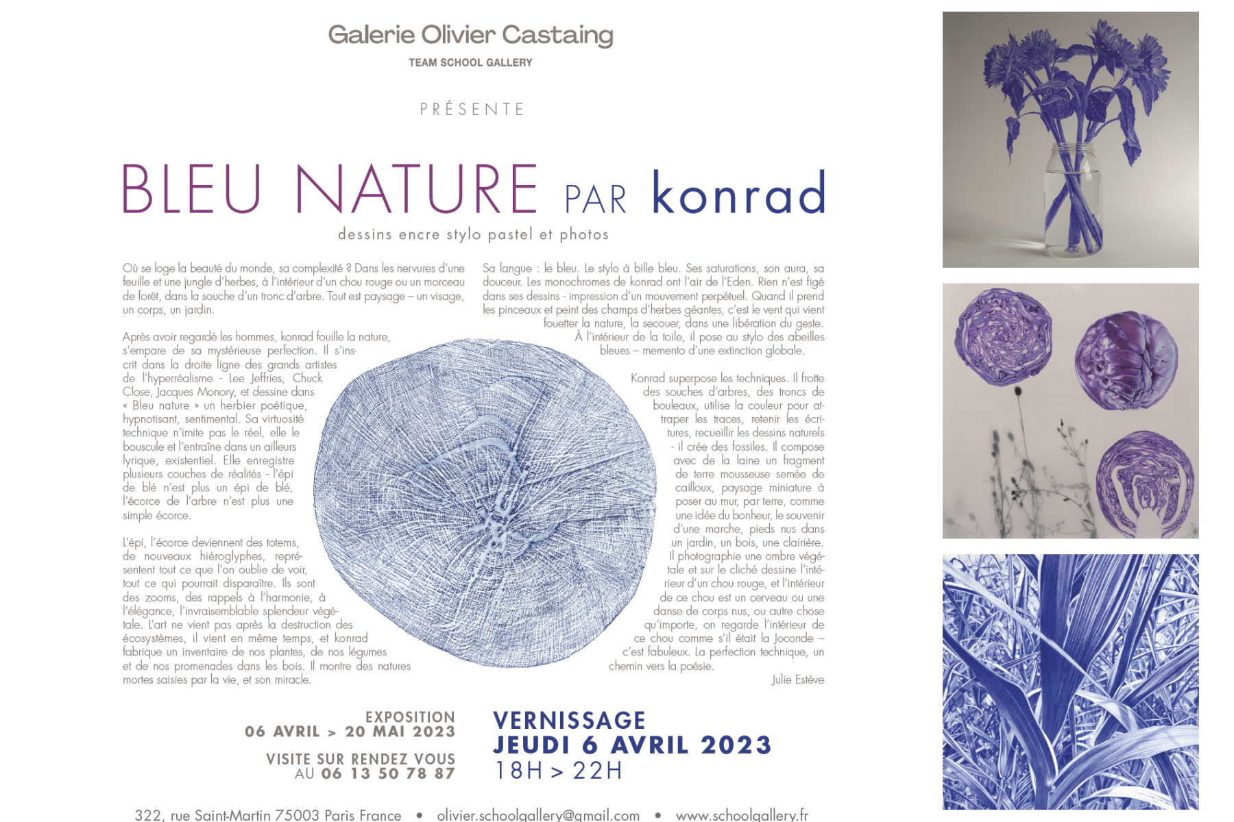 BleuNaturesoloshowKonradSchoolGallery