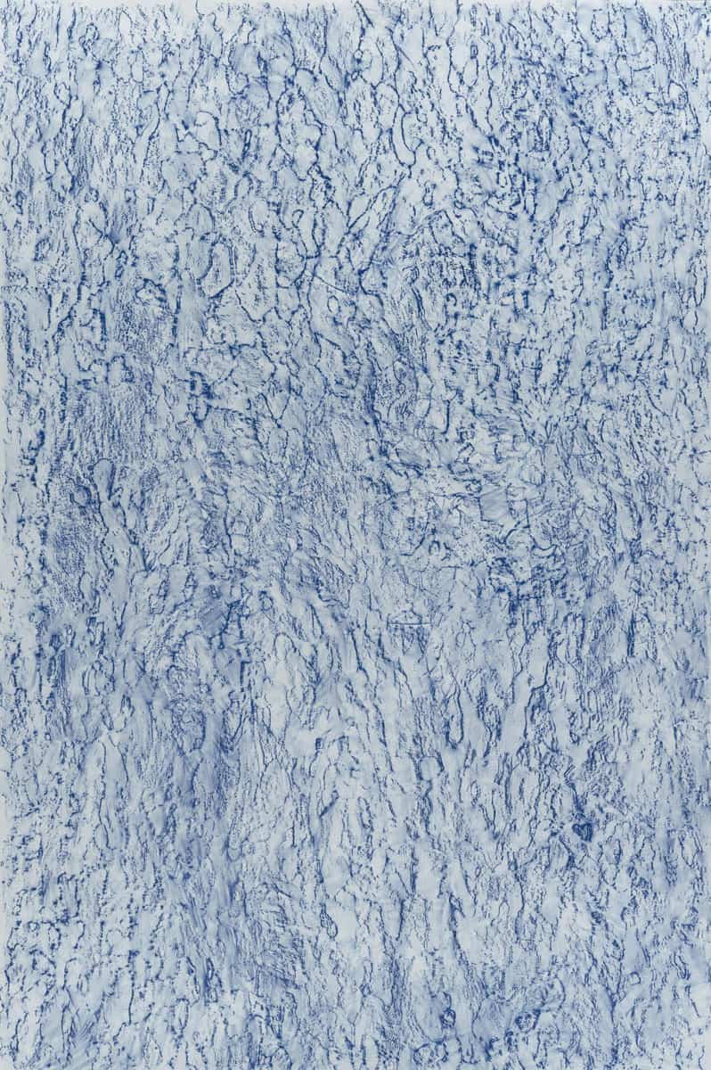 Ecorce bleue, 2023 dessin pastel gras sur papier, 120 x 80 cm KO-2313 ©konrad 