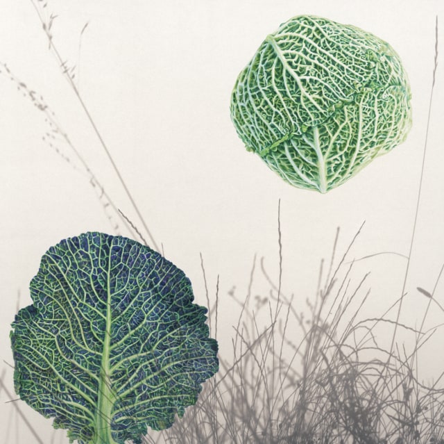 Chou vert, 2023 dessin stylo à bille de couleur sur tirage photo, 50 x 50 cm KO-2328 ©Konrad 