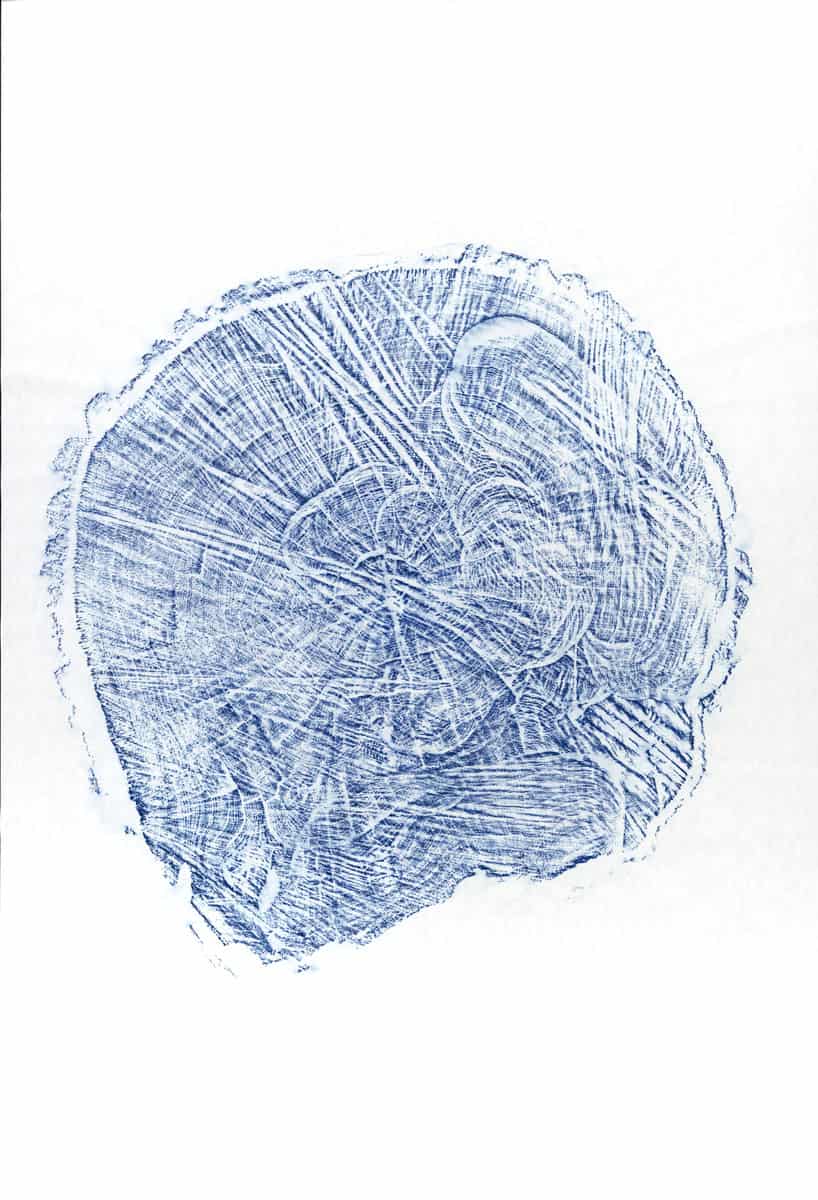 Souche II, 2023 dessin pastel gras sur papier, 80 x 120 cm KO-2318 ©konrad 