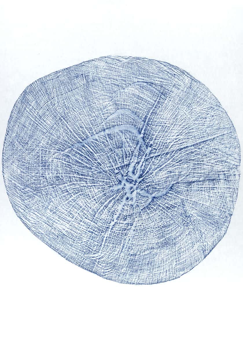 Souche IX, 2023 dessin pastel gras sur papier, 80 x 120 cm KO-2325 ©konrad