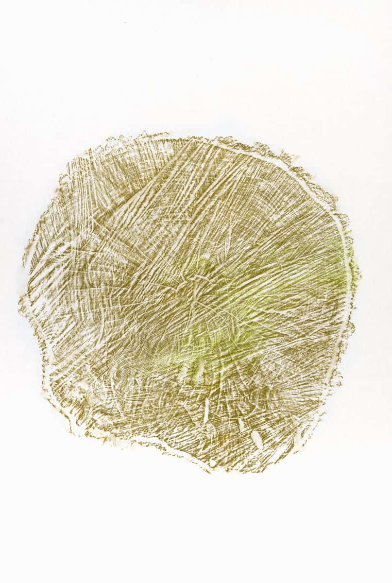 Souche VII, 2023 dessin pastel gras sur papier, 80 x 120 cm KO-2323 ©Konrad 