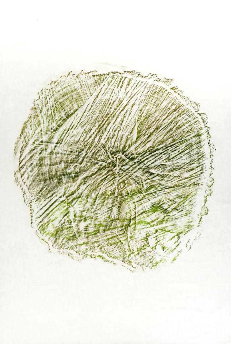 Souche VIII, 2023 dessin pastel gras sur papier, 80 x 120 cm KO-2324 ©Konrad 