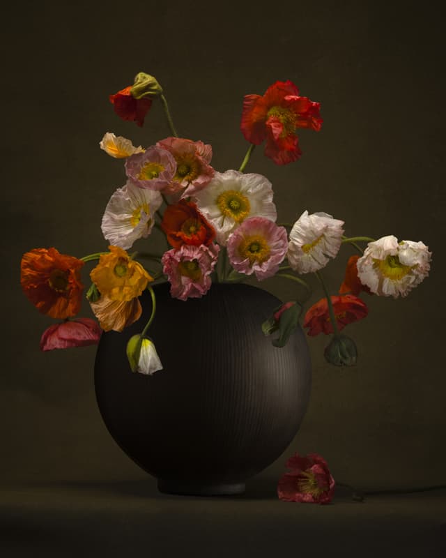 Untitled242023srieStilllifePhotographyFineartprintonHahnemhleSG-FL24StephanGLADIEU