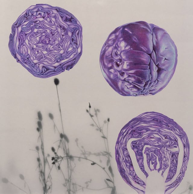 Chou rouge, 2023 dessin stylo à bille de couleur sur tirage photo, 50 x 50 cm KO-2305 ©konrad