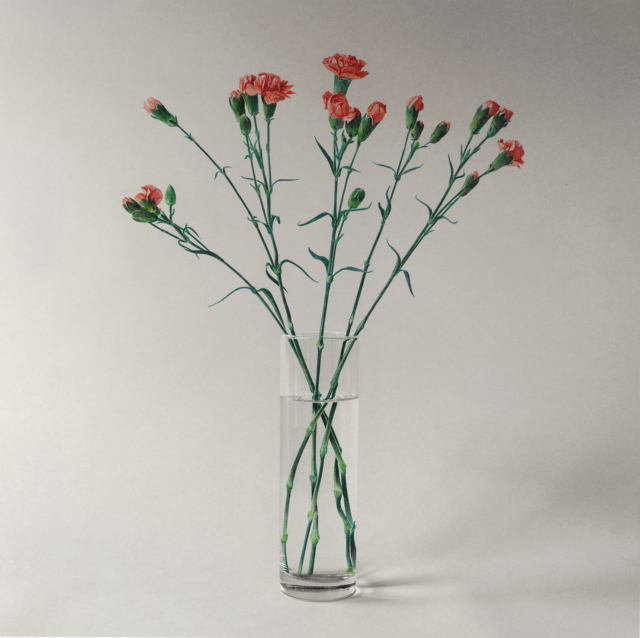 bouquet d'oeillets, 2025 dessin stylo à bille sur tirage photo, 49,6 x 49,6 cm KO-2513 ©konrad