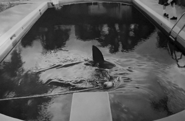 Là où on va c'est trop dangereux pour les mecs #2, 2024 dessin pierre noire et graphite sur papier 61 x 88 cm RT1047 ©Raphaël Tachdjian