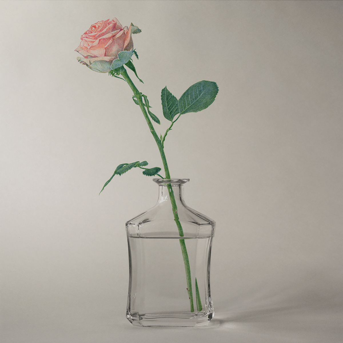 KO-2525 Rose, 2025, dessin stylo à bille sur tirage photo, 50x50 cm ©Konrad