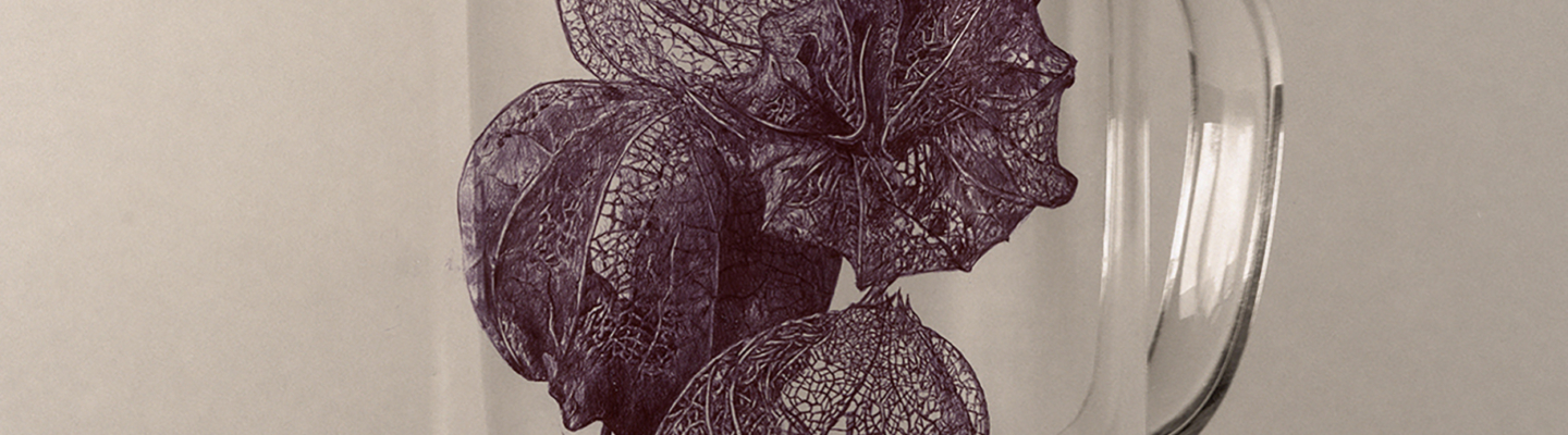 Physalis2025dessinstylobillesurphoto40x40cmKO-2535Konrad