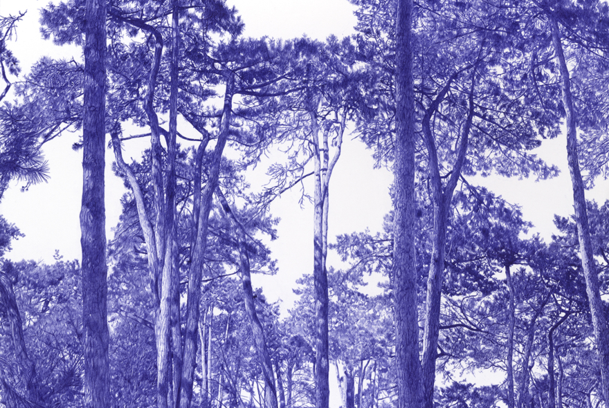 Promenonsnous12025dessinstyloabillesurphoto80x80cmKO-2538konrad