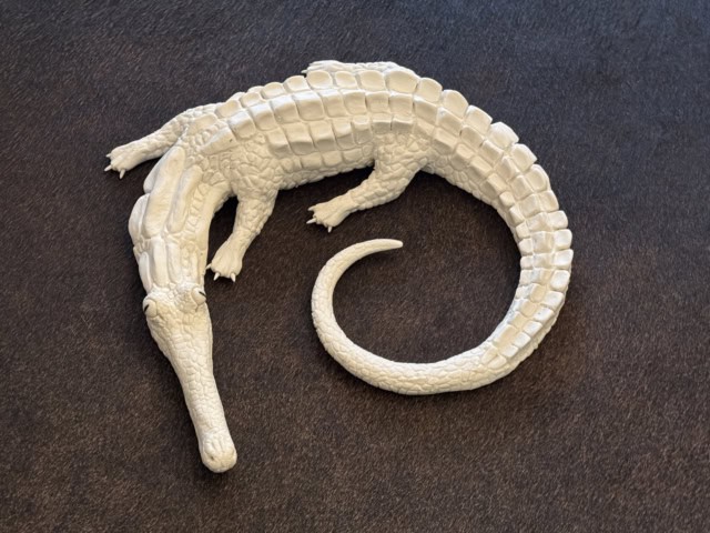 Baby crcodile, 2025 sculpture procelaine 28x27x6 cm OT-2529 ©Onno Theelen 