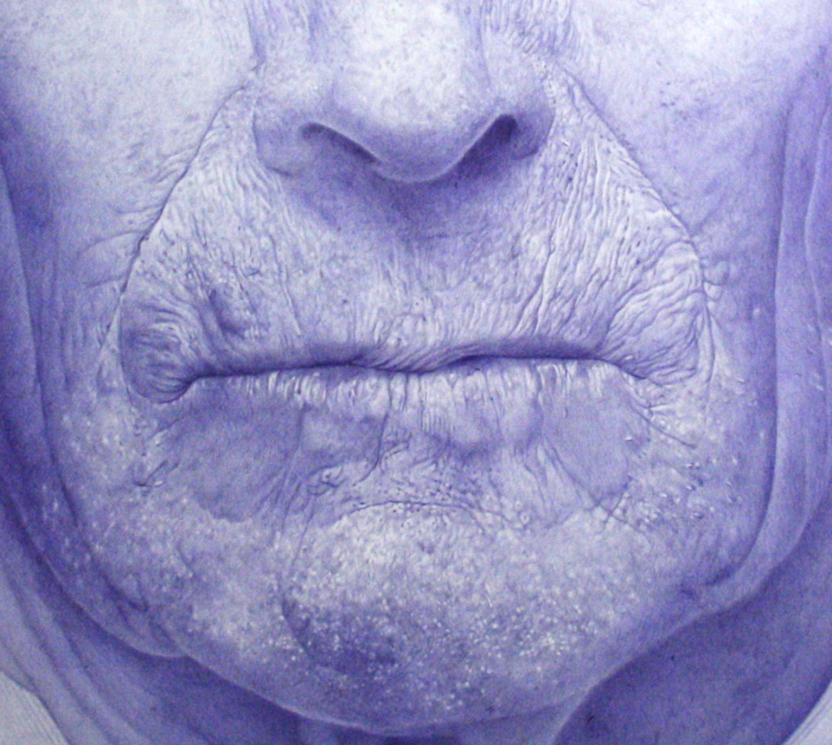 Clint (Eastwood) détail 1, 2025 dessin stylo à bille sur papier 100x100 cm KO-2545 ©Konrad