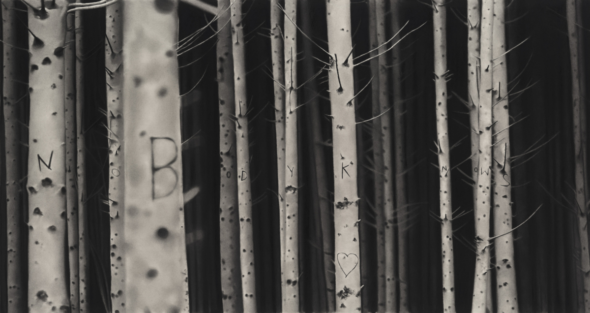 No body knows, 2025 dessin à la pierre noire et graphite sur papier 57x92 cm RT1048 ©Raphaël Tachdjian 