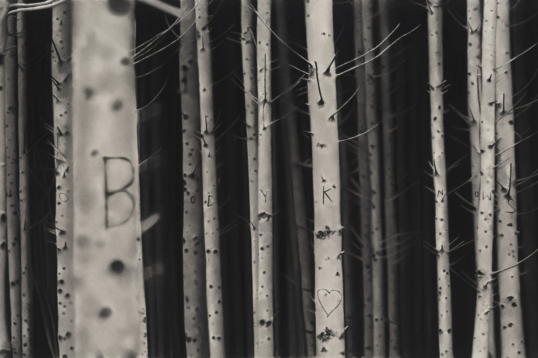 Nobodyknows2025dessinalapierrenoireetgraphitesurpapier57x92cmRT1048RaphaelTachdjian