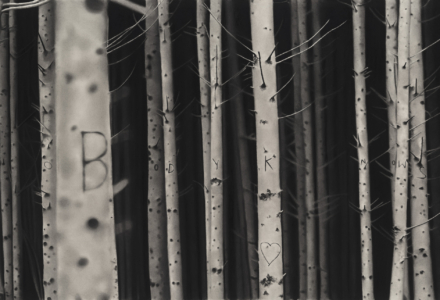 Nobodyknows2025dessinalapierrenoireetgraphitesurpapier475x91cmRT1060RaphaelTachdjian