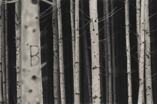 Nobodyknows2025dessinalapierrenoireetgraphitesurpapier475x91cmRT1060RaphaelTachdjian