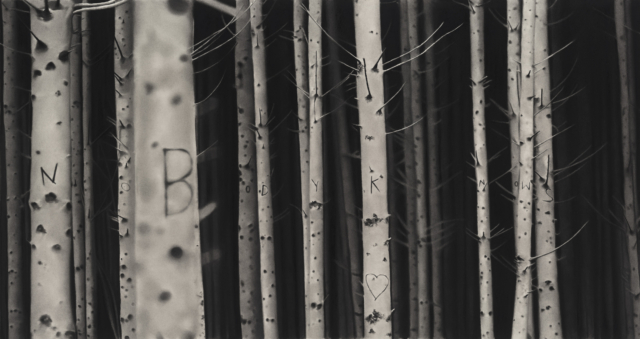 Nobodyknows2025dessinalapierrenoireetgraphitesurpapier57x92cmRT1048RaphaelTachdjian