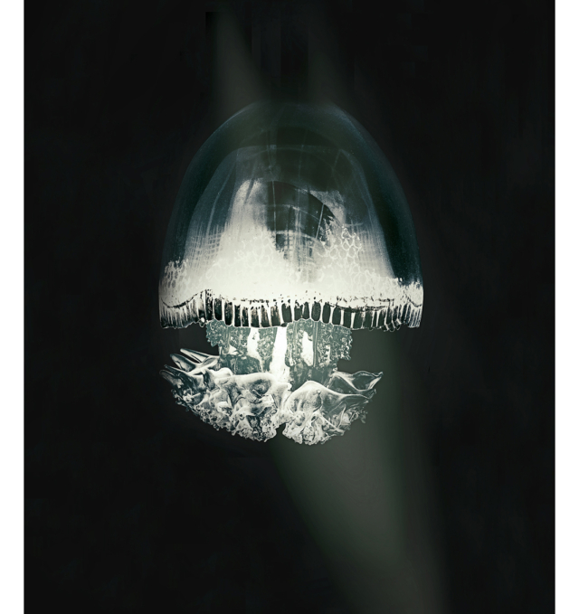 ETHEREAL JELLY FISH [Fantauma cerebrum] Entity able to travel be