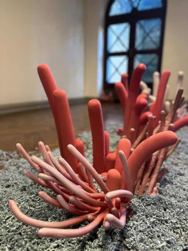 Dialogue du vent et de la mer, installation, 2024 dimensions variables SH-2403 ©Safia Hijos 