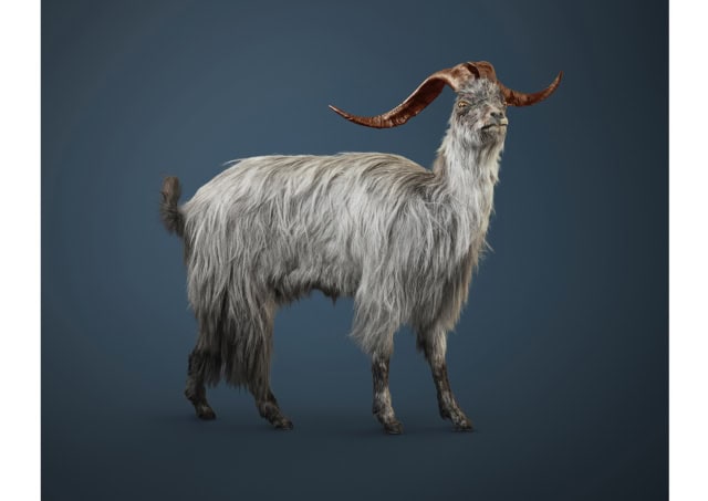 MAGNETIC BOUC [Buccus magnetica] Ability to control and create e