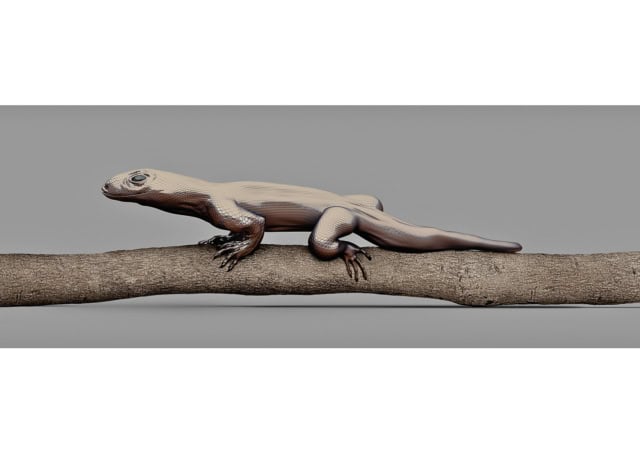 MONITOR LIZARD [Varanus imitabilis] Mimetic lizard, 2014.