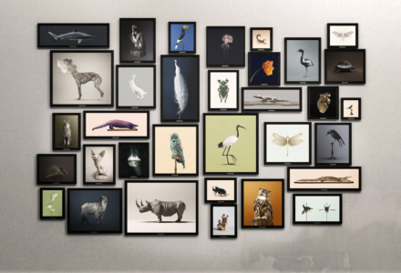 LebestiairePostNaturalHistoryduphotographeVincentFournier