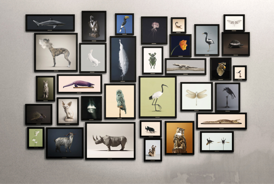 LebestiairePostNaturalHistoryduphotographeVincentFournier