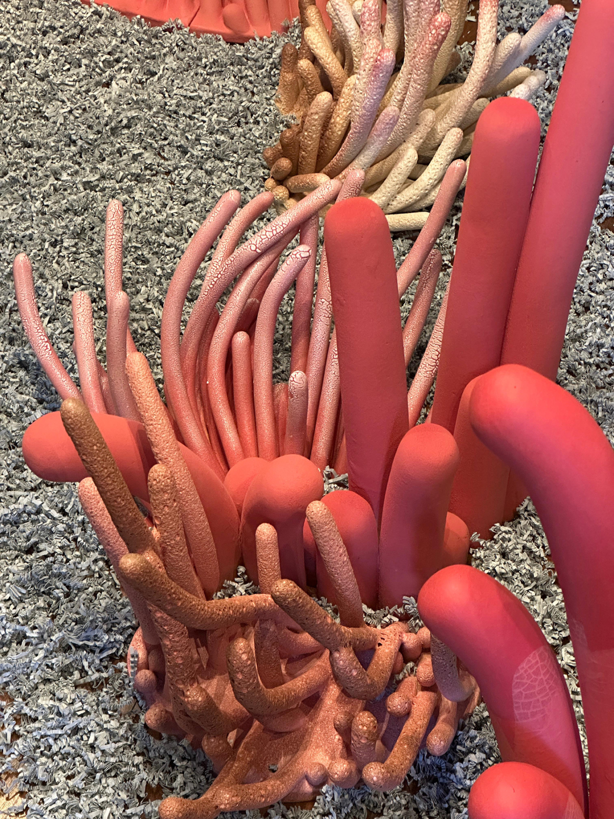 Dialogue du vent et de la mer, installation, 2024 dimensions variables SH-2403 ©Safia Hijos 