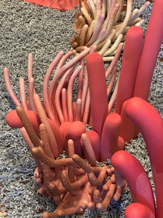 Dialogue du vent et de la mer, installation, 2024 dimensions variables SH-2403 ©Safia Hijos 