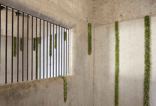 Supernature, Installation au Domaine de Chaumont sur Loire, 2021 ©Safi Hijos Photo ©Eric Sander