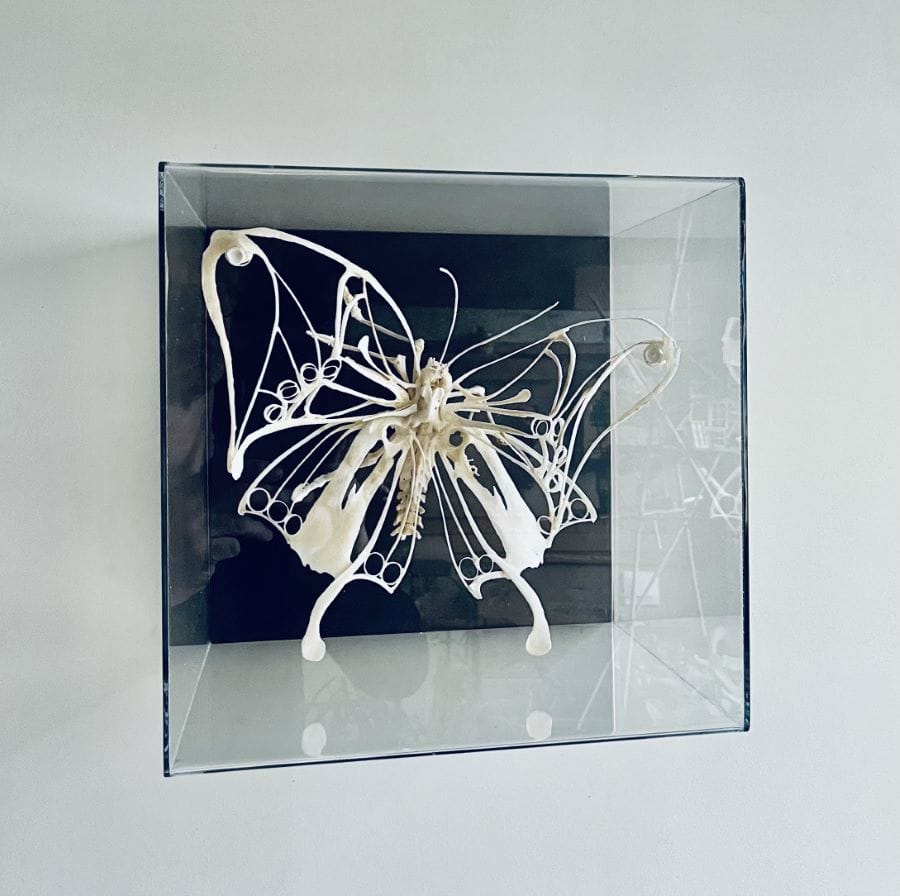 Papillon, 2026 sculpture en os d'oie 30x30x30 cm CB-2602 ©Corine Borgnet