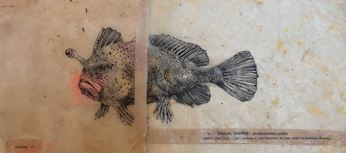 Smooth Hand fish - échelle 1/1 dyptique, 2026 dessin encre sur papier de riz, cire d'abeille et cire de cierge consumés 24x50 cm CB-2605 ©Corine Borgnet