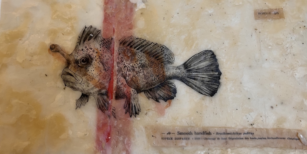 Smooth Hand fish - échelle 1/1 , 2026 dessin encre sur papier de riz, cire d'abeille et cire de cierge consumés 18x35 cm CB-2606 ©Corine Borgnet