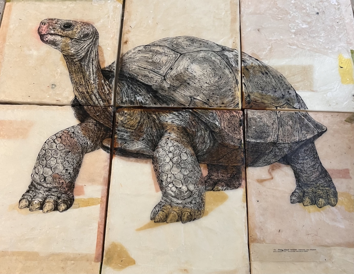 Pinta Island Tortoise - échelle 1, 2026 6 dessins encre sur papier de riz, cire d'abeille et cire de cierge consumés marouflé sur toile 140x150 cm CB-2622  ©Corine Borgnet